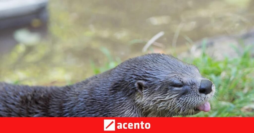 El 27 de mayo vuelve a situar en agenda reclamos de salud, ambiente e inclusión