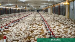 ADA saluda la ley que vuelve permanente la exoneración al agro y pide ver su efecto real