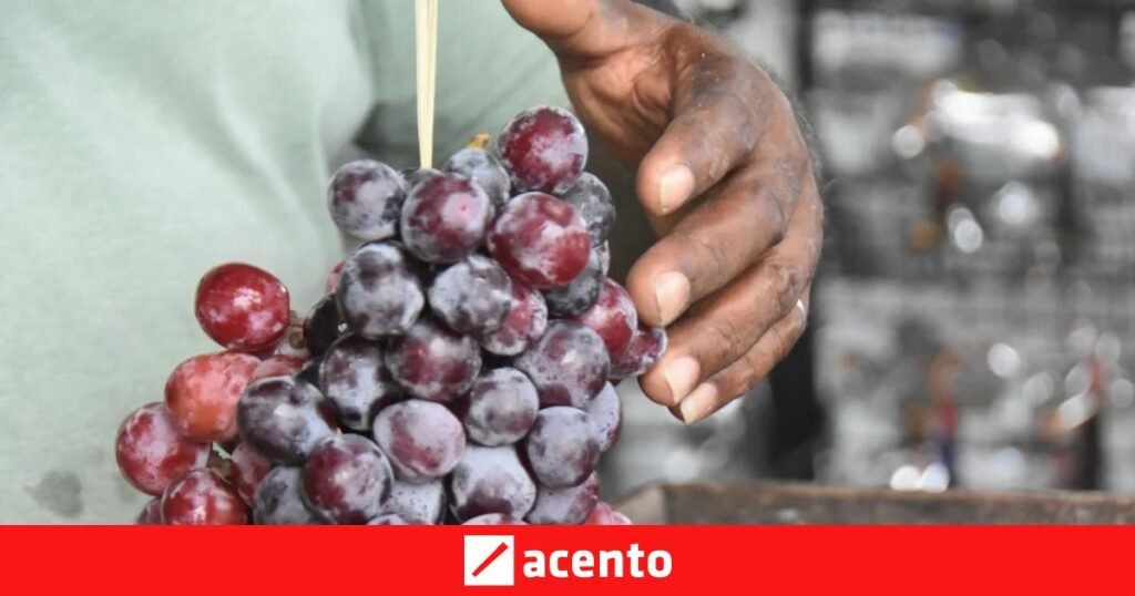 Uvas y vino al borde del camino sostienen la economía del Sur dominicano