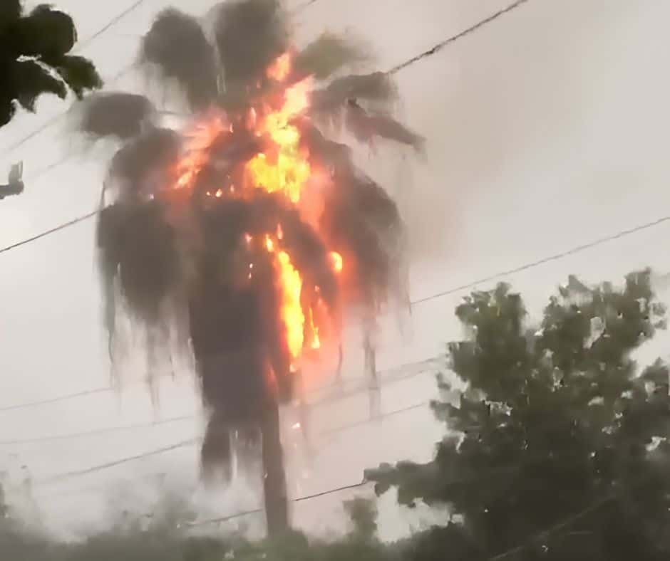 Incendio en una casa de La Vega tras caer un rayo en una palma