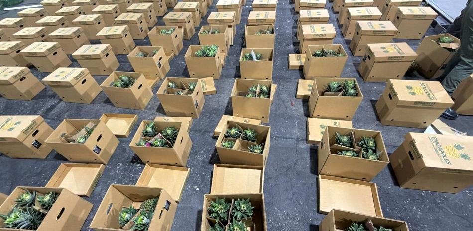 DNCD ocupa cocaína en cajas de piña en el AILA y arresta a un hombre