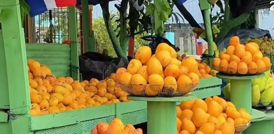 Hipólito Mejía vincula la Expomango con el abandono de una finca banileja que, según dijo, se dejó perder