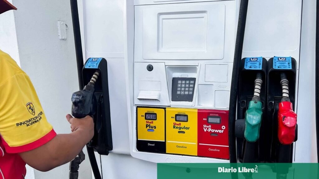 Las bombas de combustible se someten a controles semestrales y el usuario debe vigilar los sellos