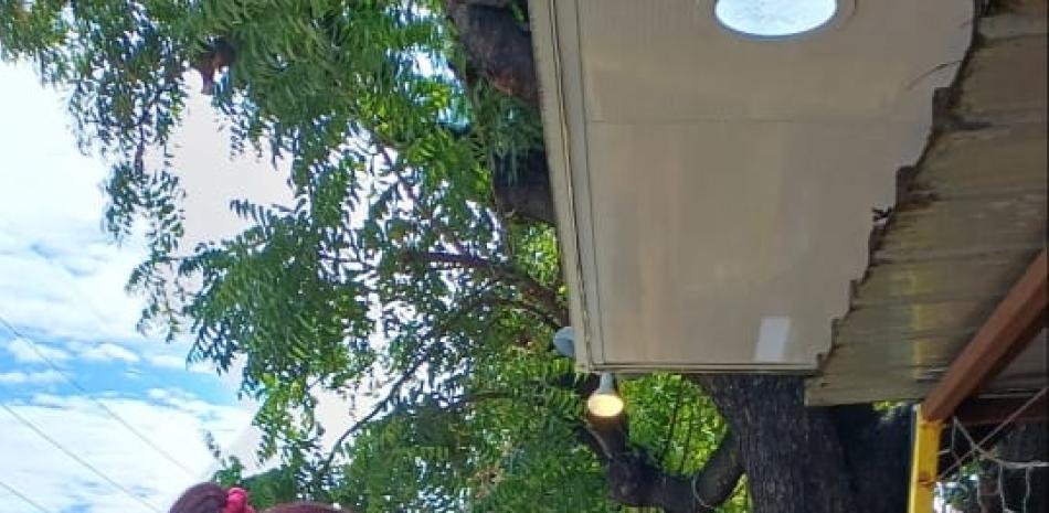 Baní abre hoy la Feria del Mango con nueva sede por trabajos en el parque municipal
