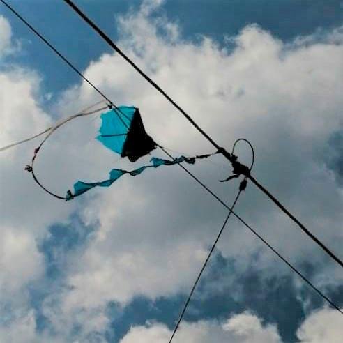 Edeeste alerta en Higüey por riesgos de chichiguas cerca de cables eléctricos y equipos en carga