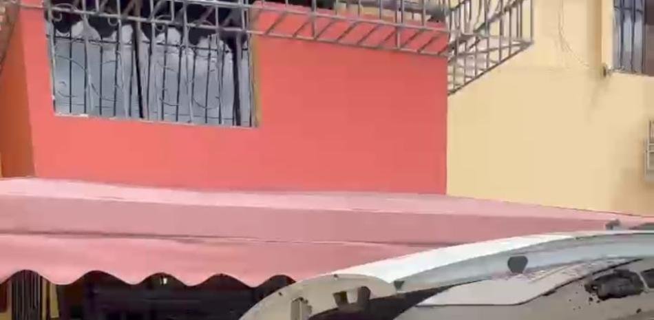 Aparece muerto un perro en el apartamento donde hallaron a la madre y el hijo en Rómulo Betancourt