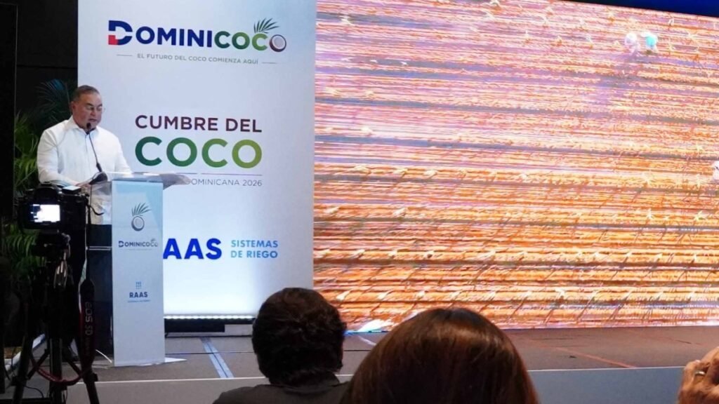 Mercado del coco expone brecha entre potencial y rezagos del campo dominicano