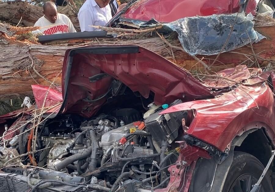 Árbol cae sobre Las Américas, deja cuatro heridos y paraliza el tránsito en Doña Pula