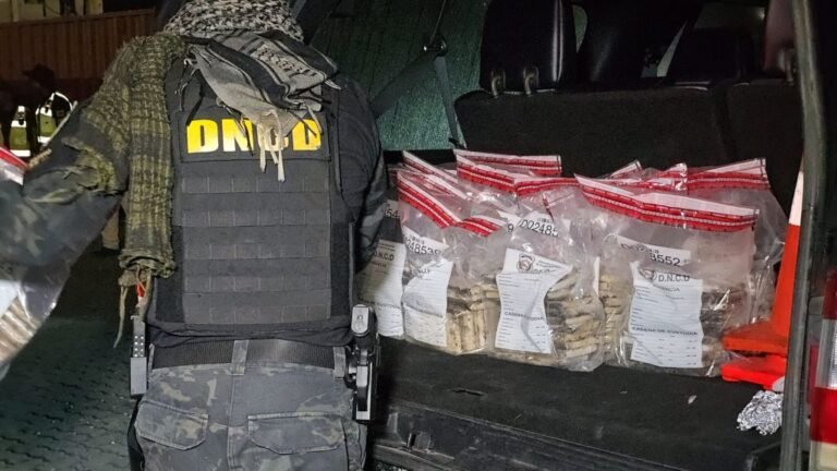 Otro cargamento oculto en Caucedo reaviva la alerta: ocupan 321 paquetes de presunta cocaína