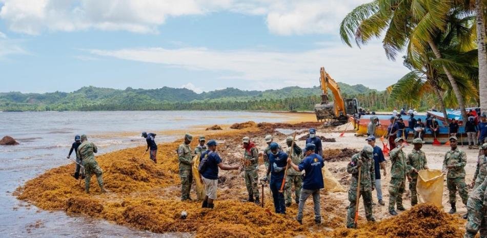 Playa Rincón entra en operativo oficial tras la avalancha de sargazo vista en videos