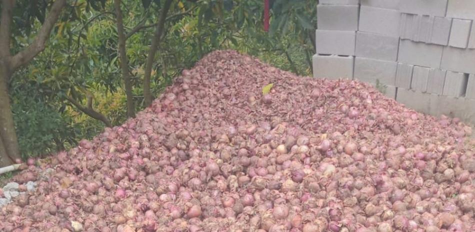 Pago de RD$100 millones a productores de Ocoa sigue pendiente de decisión de Abinader