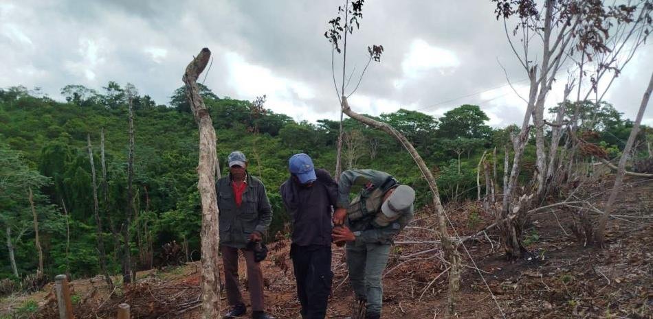 Pena suspendida para dos hombres por incendio en Cañada de la Vaca, en El Seibo