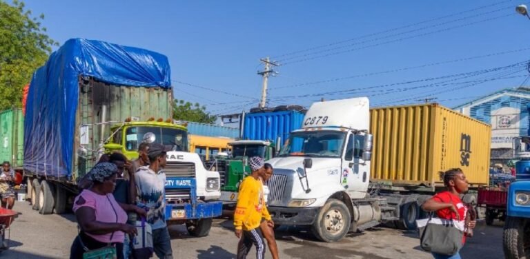 Puertos secos fronterizos: expertos plantean una sola plataforma para ordenar el comercio